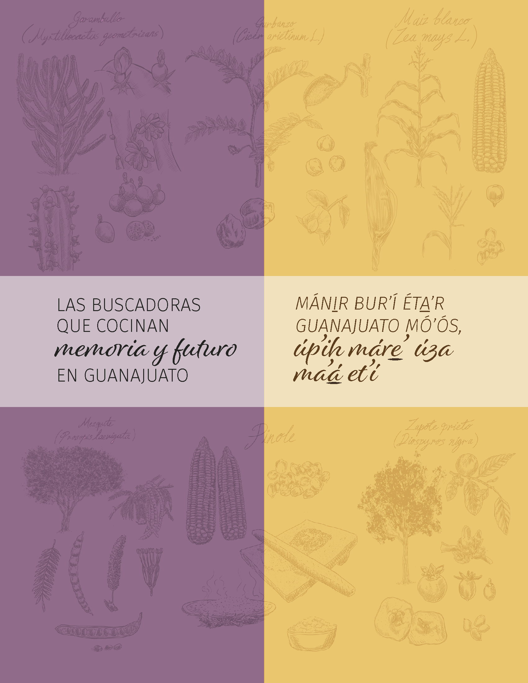 No hay una imagen disponible